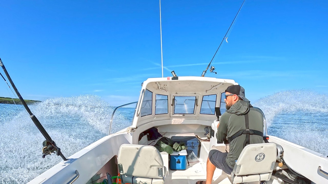 A Brilliant Day On The Water | Bass, Huss, Tope, Pollack