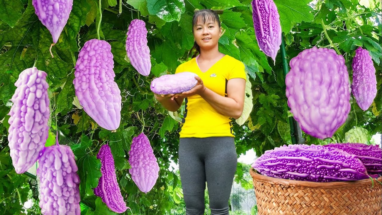 Harvesting Melons Goes To Market Sell - Wood Floor Painting | Phuong Daily Harvesting