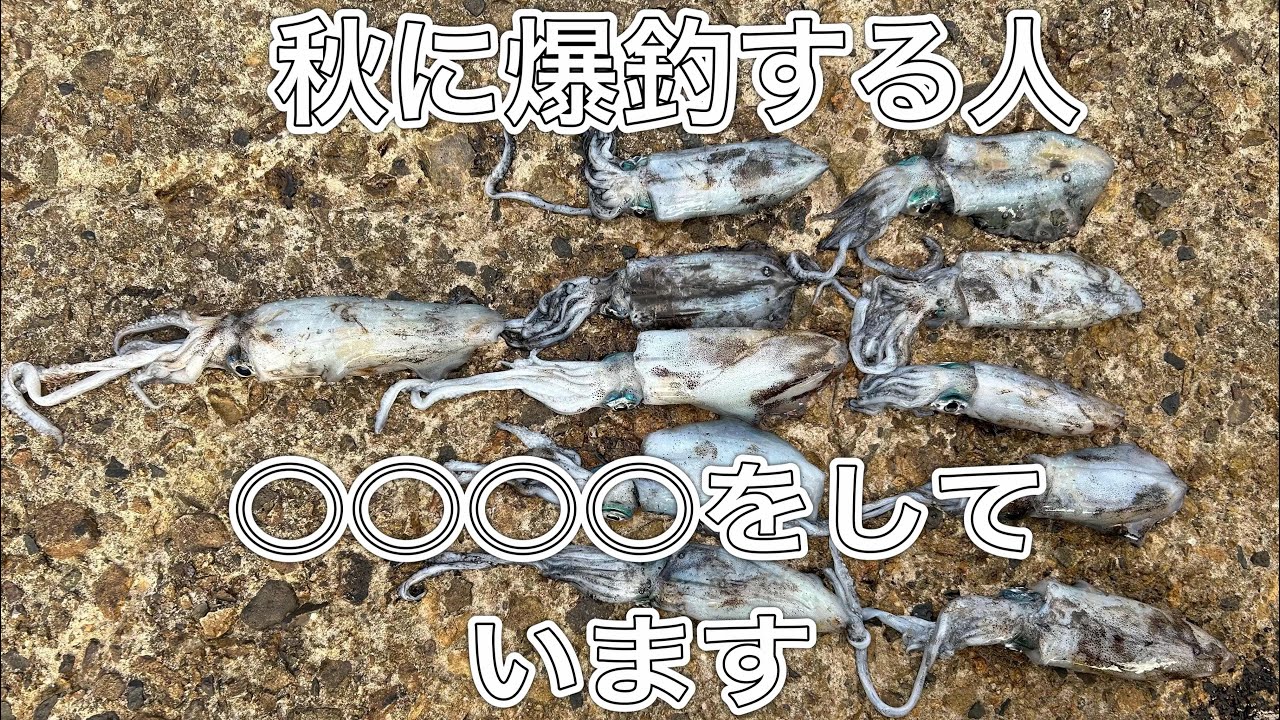 【日本海】秋イカエギングで爆釣する方法‼️