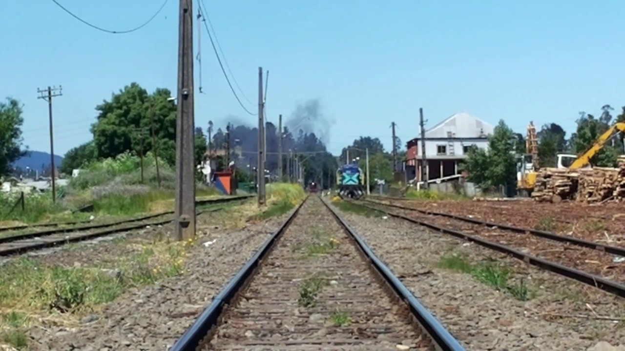 Tren de la Araucanía por Cajón | 1 de Diciembre 2019