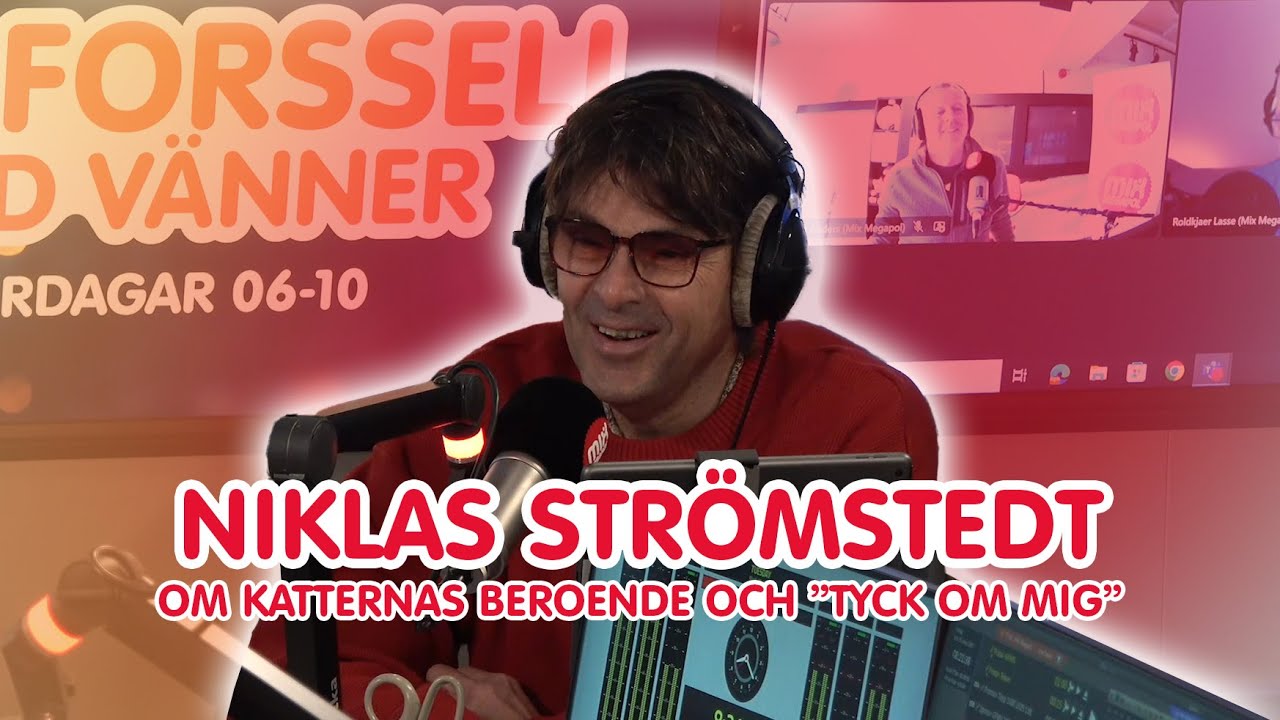 Niklas Strömstedt om katternas beroende och 