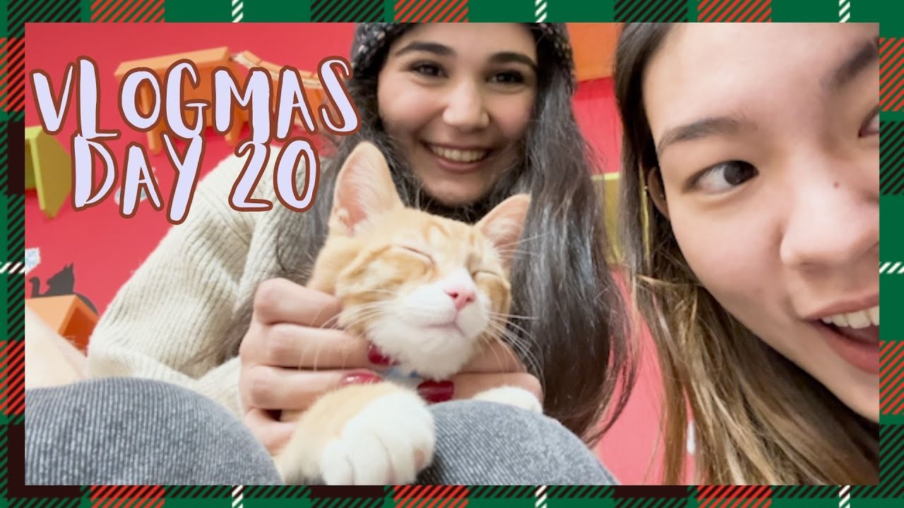 🎄[VLOGMAS EP2O] (ENG) Cat lounge & adoption😽貓咪咖啡廳/ 貓掌怎麼可以那麼欠吸！/ Cozy Christmas Party🥳 Rickrolling🕺