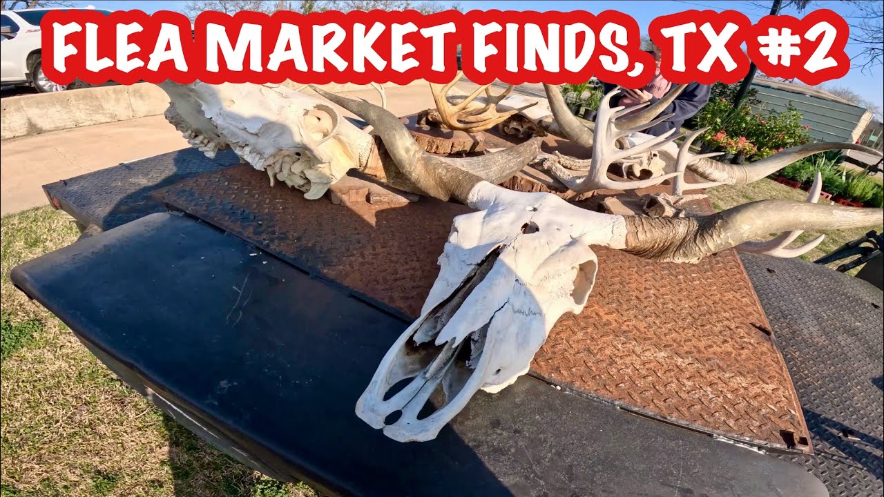 Flea Market Finds #2 Texas [4K] First Monday 
