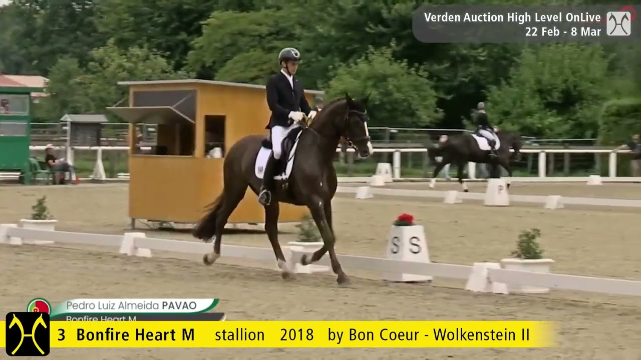 No. 3 Bonfire Heart M by Bon Coeur - Wolkenstein II | Verden Auction High Level - March, 8th