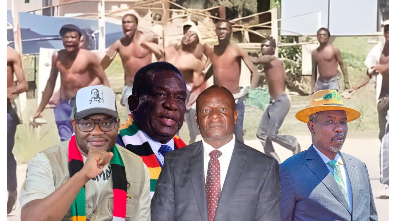 ZANU PF USES DRUG-ADDLED YOUTHS TO THREATEN OPPOSITION LEADERS AT THEIR RALLIES