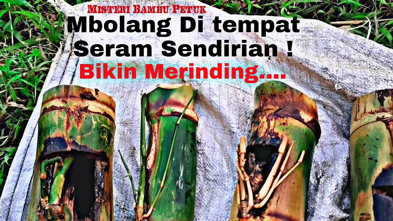 Bambu Unik Rajut Sukmo Jalu among Jalu puncak saya temukan di tempat seram sendirian