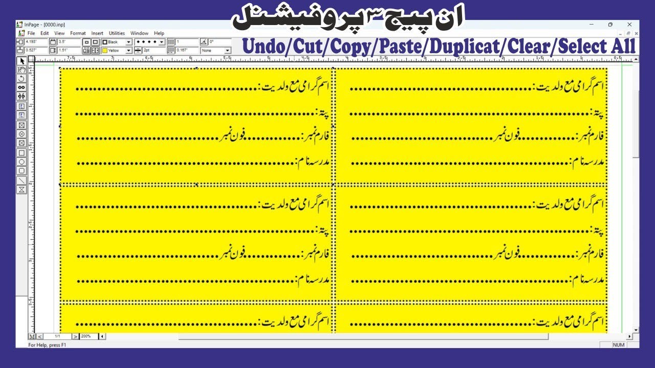 Duplicate command ka istemal karna sikhe||lasson no 15|| inpage 3 professional||✍️