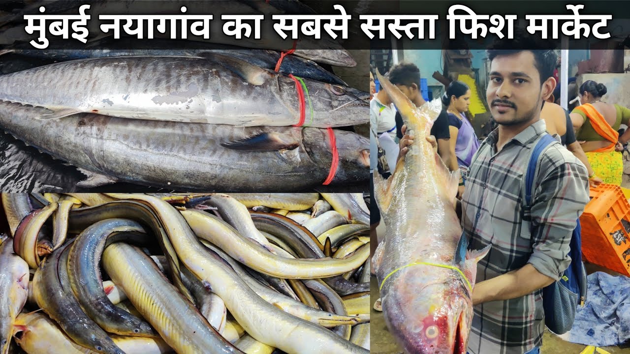 Naigaon Machhi Market | Naigaon Wholesale Fish Market | Mumbai Naigaon Fish Market