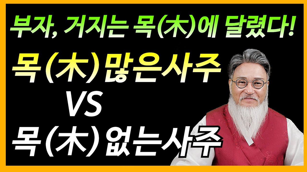 [부자 사주보는법]목(木)많은 사주가 부자가 되는 법! 반드시 토(土)를 잡아라!(feat:목많은사주 VS 목없는사주)