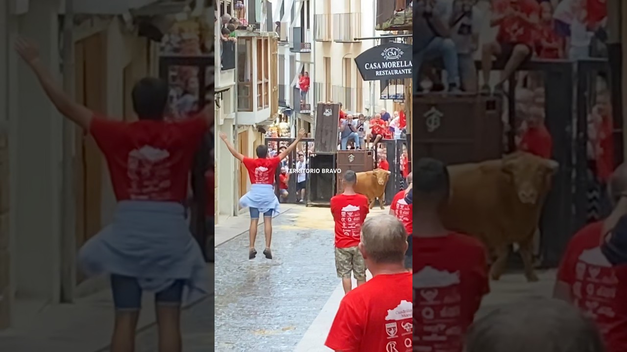 Suelta toro cerril en Morella!