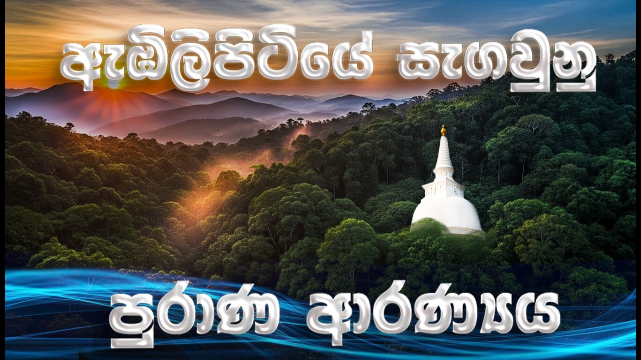 හැමෝම හොයන ඇඹිලිපිටියේ සැගවුනු වනගත ආරණ්‍යය සේනාසනය🌿🦚 | #naturetemple  #hidden #trending #viral