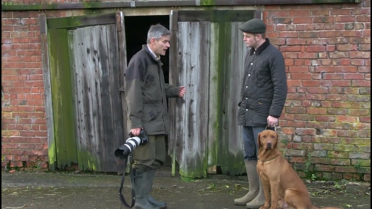 Dog Photography Tutorial - On Location Dog Photography Top Tips by The Dog Photographer.