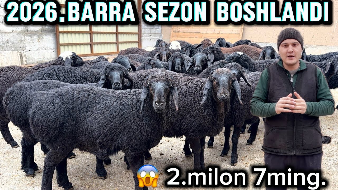 2.milon 7ming.DAN BARRA SEZON BOSHLANDI. ONA-BOLA QOYLAR .5milon dan BOLDI.