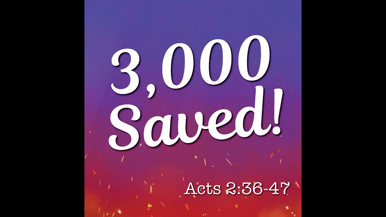 3,000 Saved!