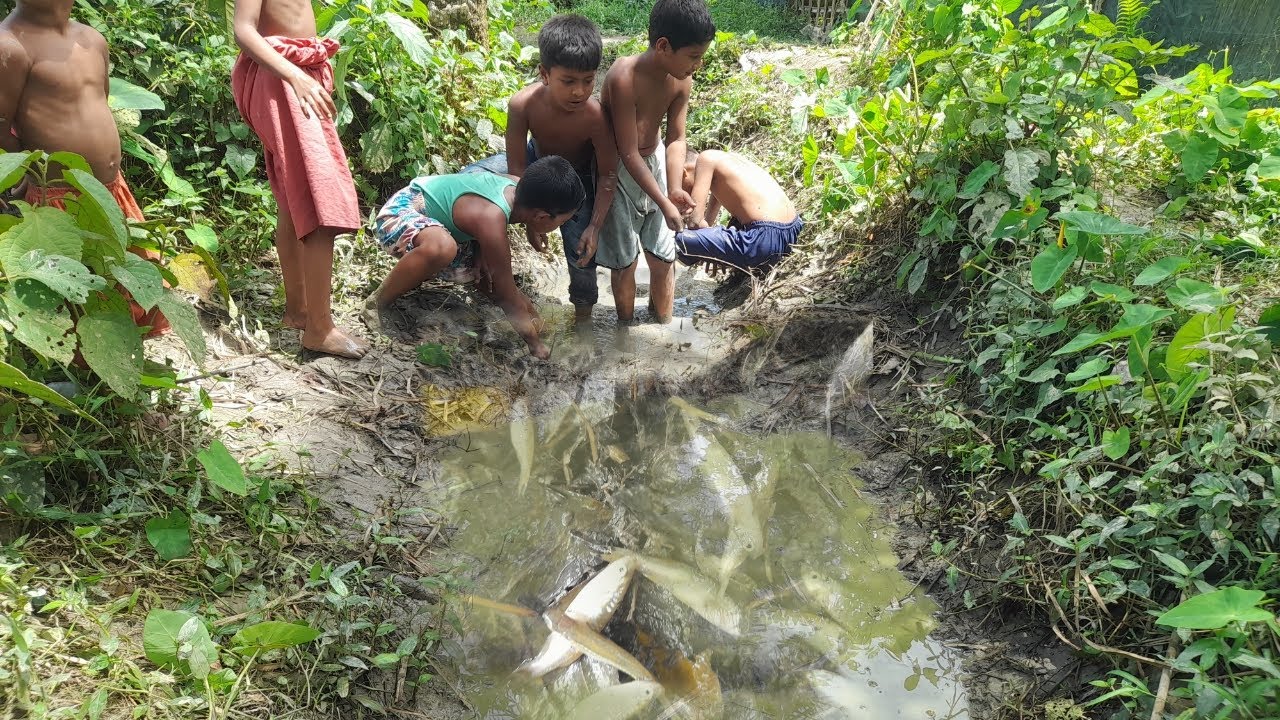 amazing fishing sinari