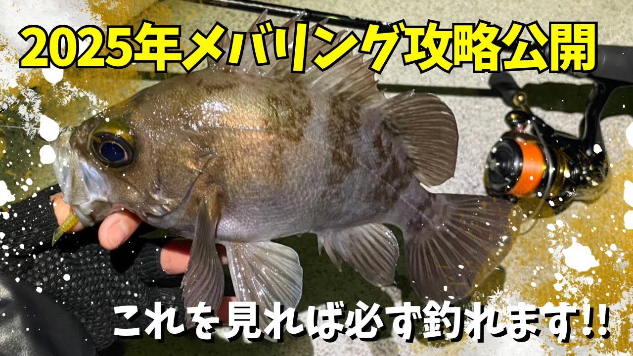 メバリングシーズン直前！釣り方や釣れるアイテム、タックル選定など解説！！これを見ればメバル釣れます！