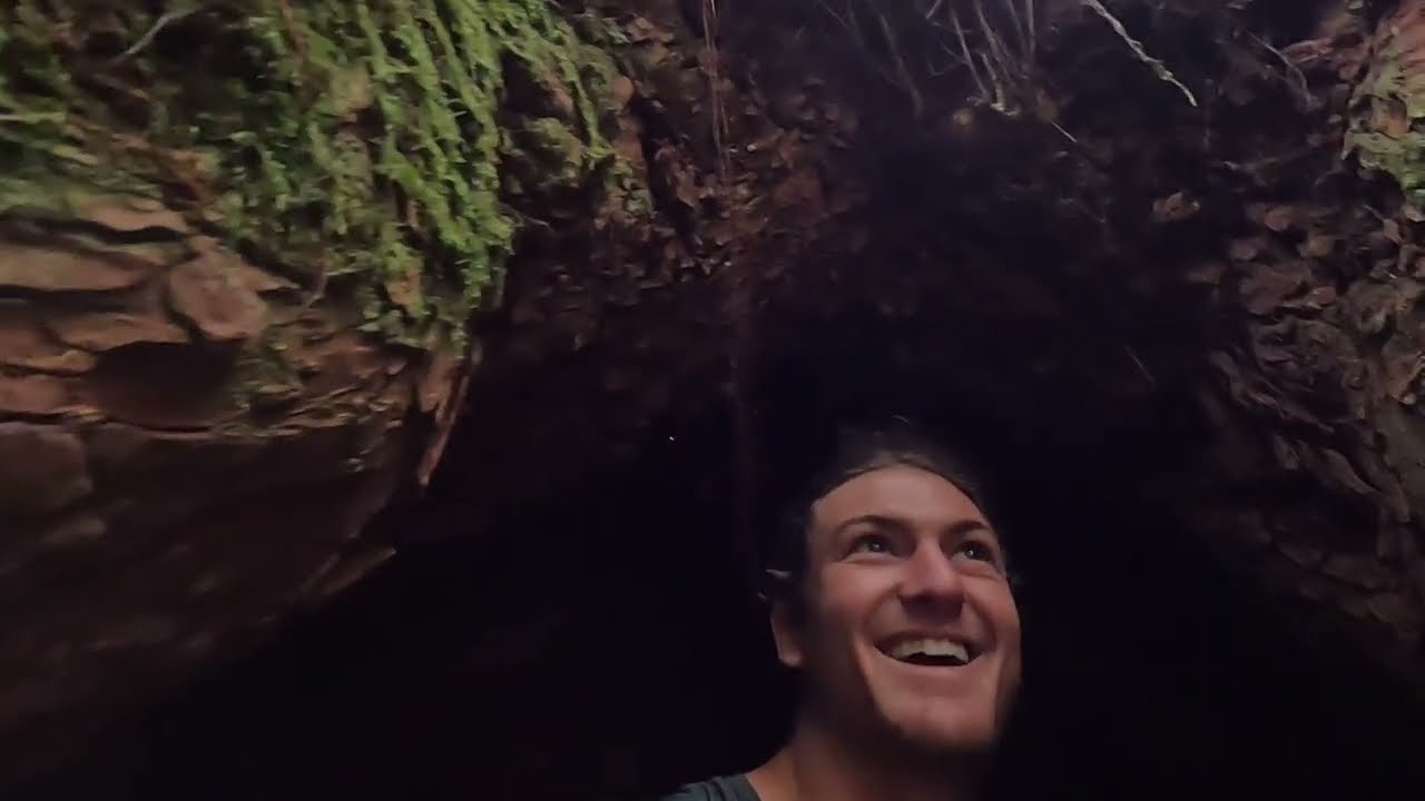 Kilimanjaro trek - day 7 - Mweka camp to Mweka gate and home