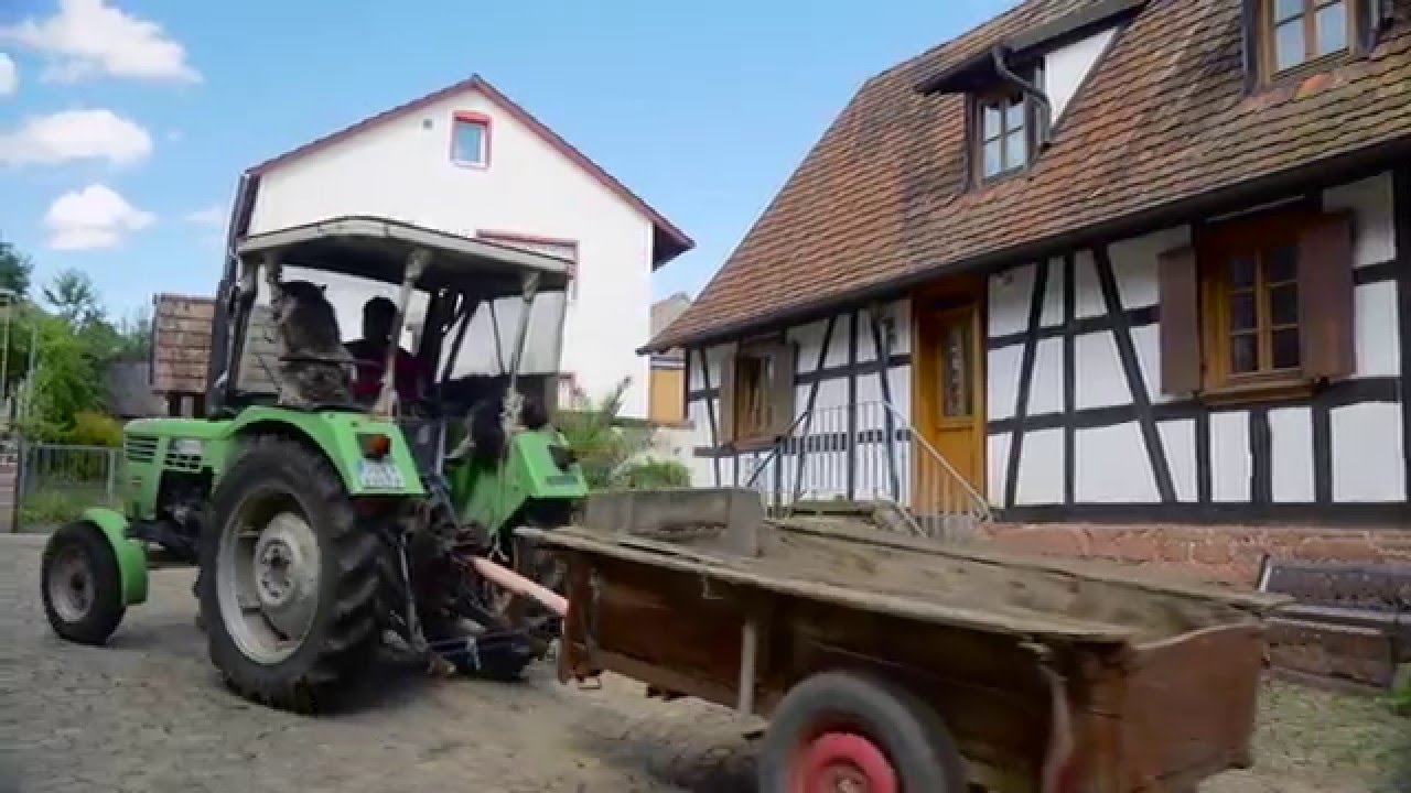 Dierbach der Film