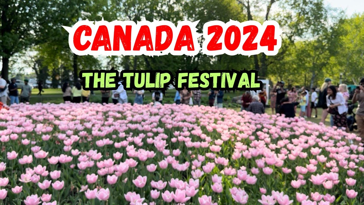 Canada's Biggest Tulip Festival | 4K Ottawa’s Colourful Event | Park Tour 2024