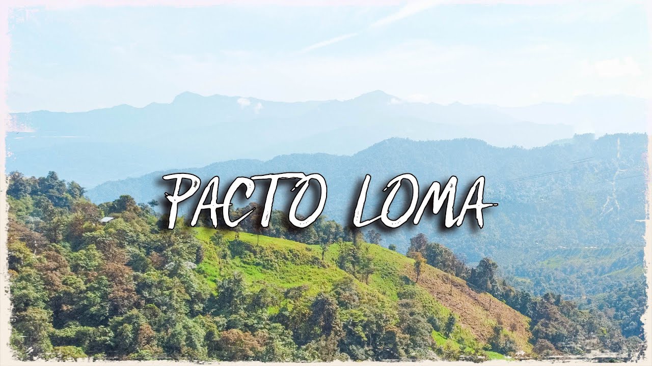 LA MOLIENDA🔴una experiencia de turismo creativo Pacto- Ecuador