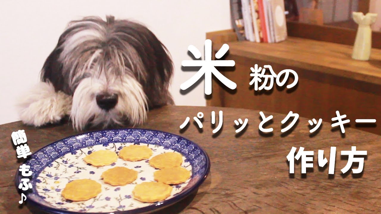 犬おやつ手作りレシピ｜米粉のパリッとクッキーの作り方【もふ飯】