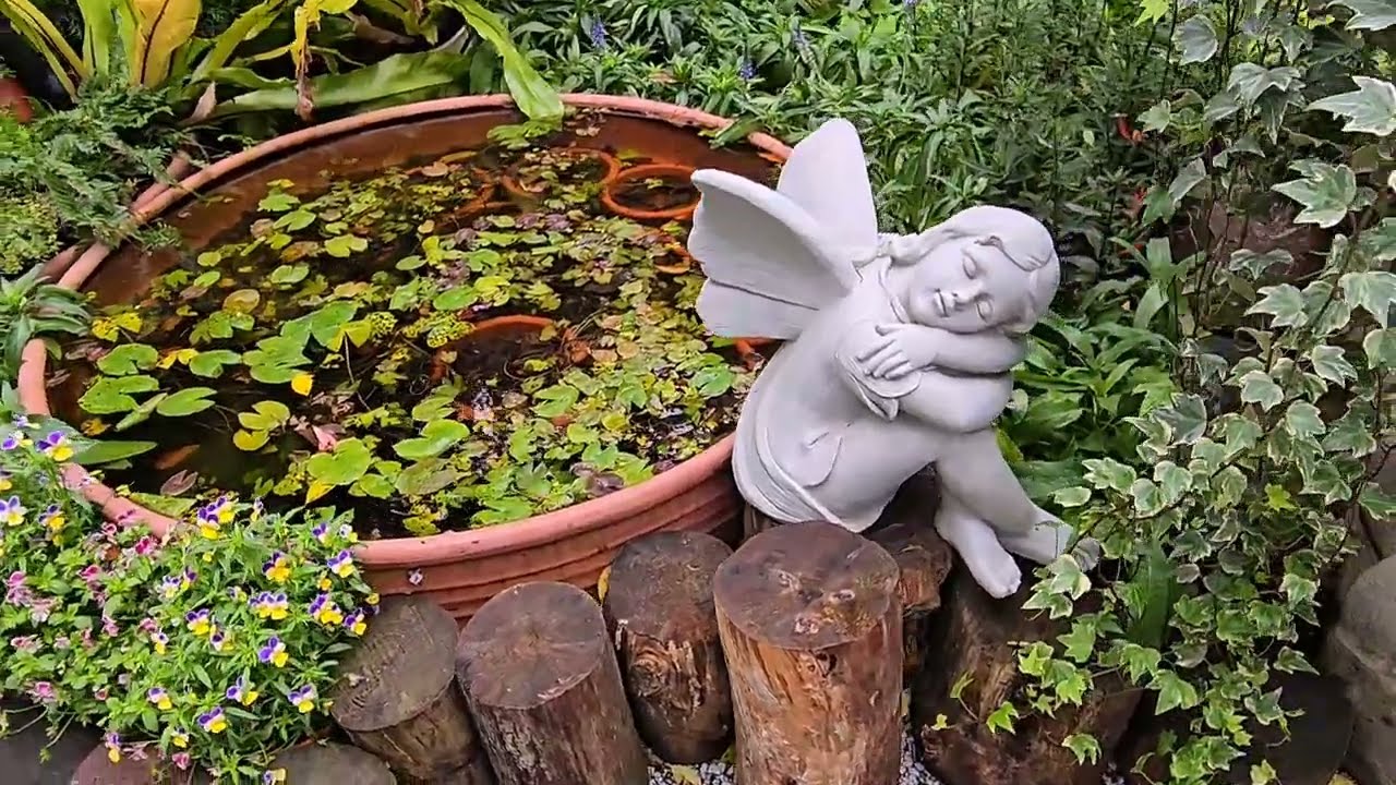 2026,1,24 陽明山花卉試驗中心茶花展（5）