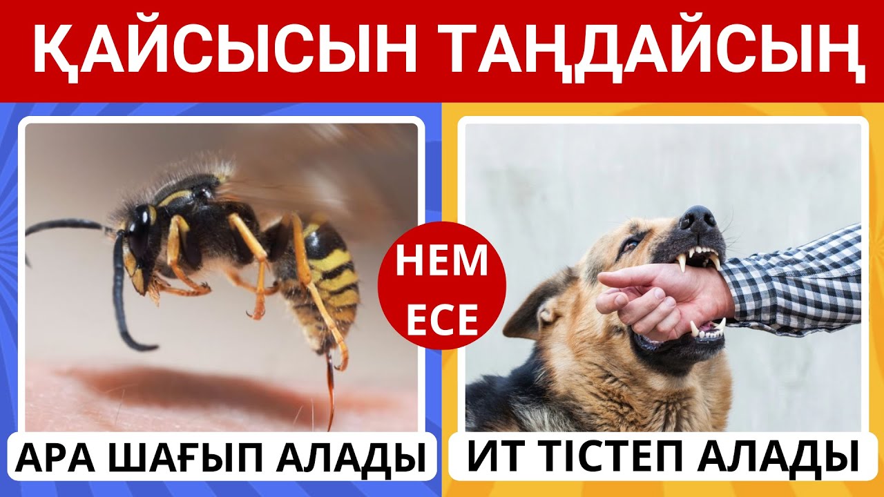 ҚАЙСЫСЫН ТАҢДАЙСЫН?✅ҚИЫН ТАҢДАУЛАР😎🧠😍/ БІЛІМ QUIZ 2026