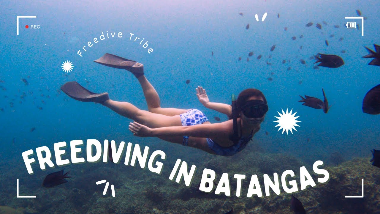 Batangas Vlog | Intro to Freediving + Socials 🍻🪸