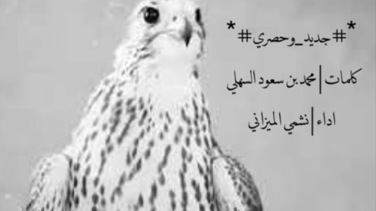 💥🔥جديد_وحصري 🔥💥 كلمات | محمد بن سعود السهلي اداء | نشمي الميزاني