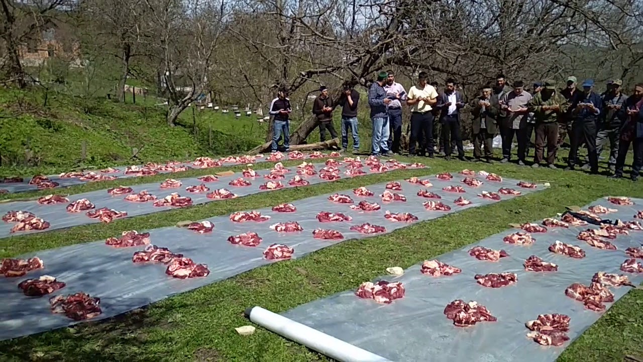 Гендаргана