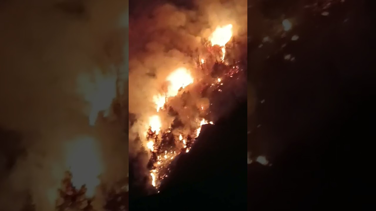 Massive Fire Erupts in Bijhama Forest, Baramulla #Boniyar #SaveForests #EnvironmentalCrisis #Kashmir