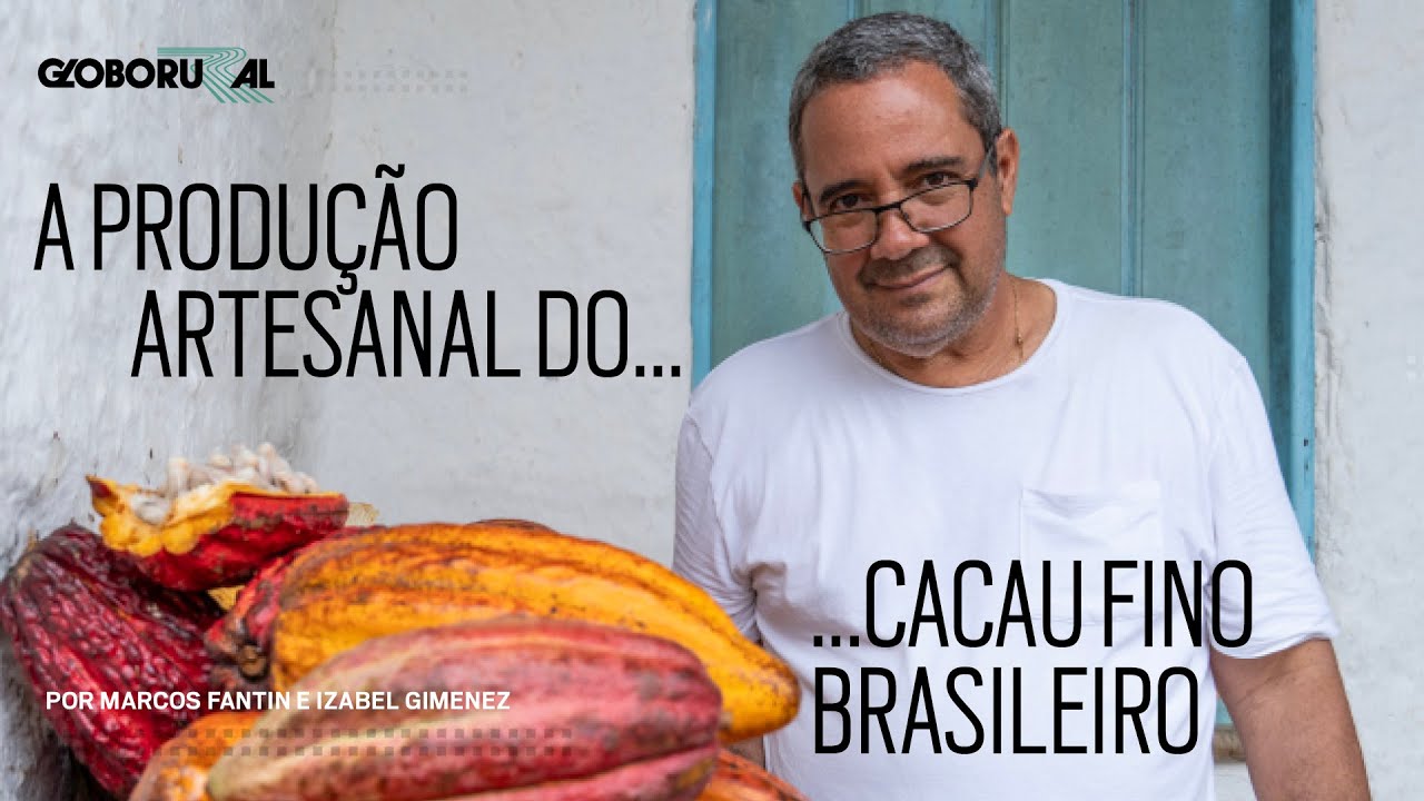 A produção do cacau que dá origem ao melhor chocolate fino do Brasil | Globo Rural