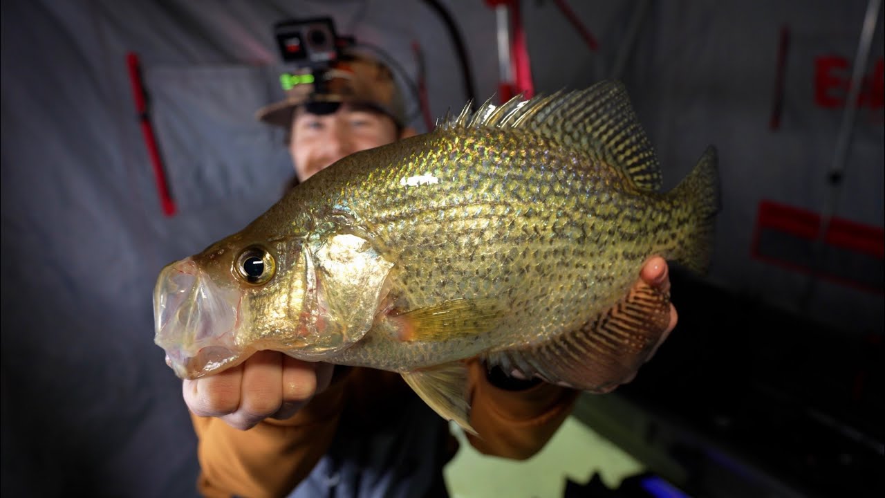 Ice Fishing Giant Crappie on the Mississippi River!