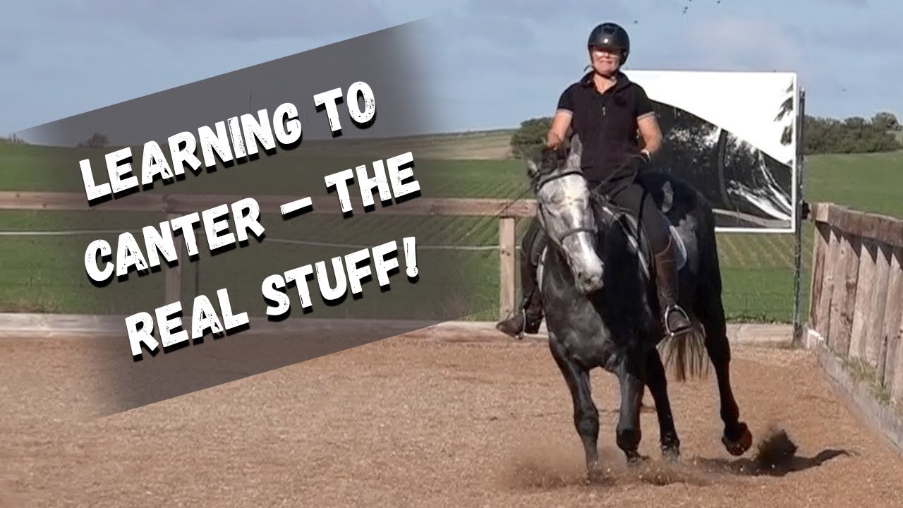 How I Teach My Horse To Canter For The First Time!