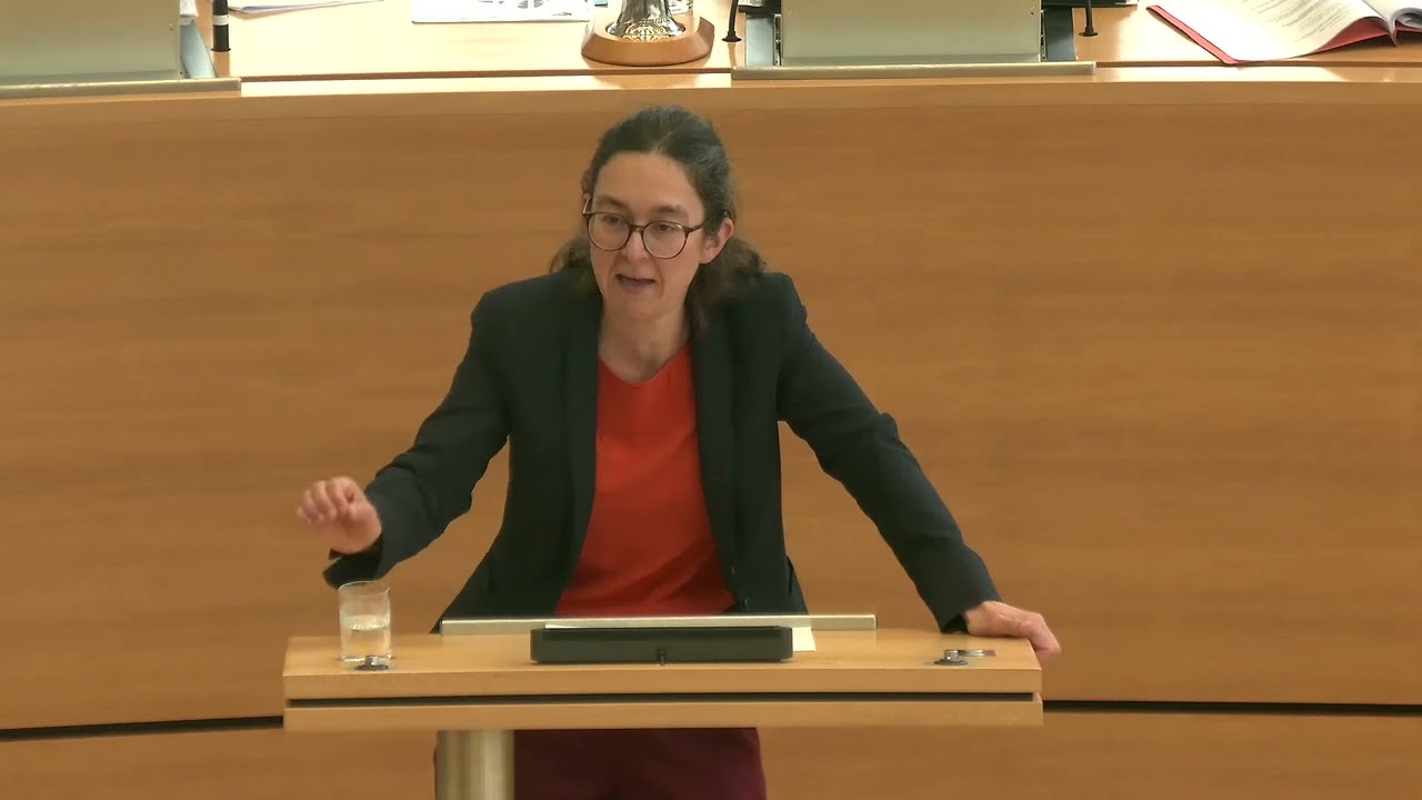 AfD will öffentlich-rechtliche Medien schwächen und aus dem Weg räumen