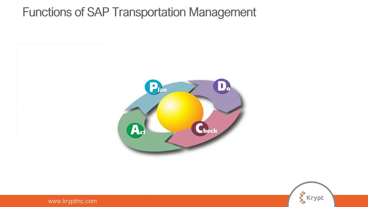 Effective SAP TM for perfect order fulfillment!