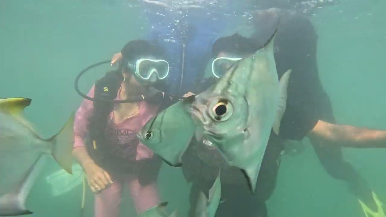 Scuba diving couple video by GoPro 12 