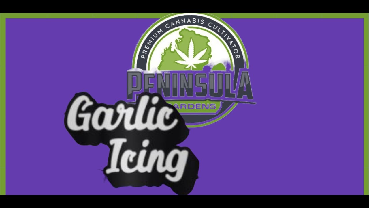 DISCOVERED A NEW DISPO & GOT  GARLIC ICING from PENINSULA GARDENS  FULL STRAIN REVIEW   HD 720p