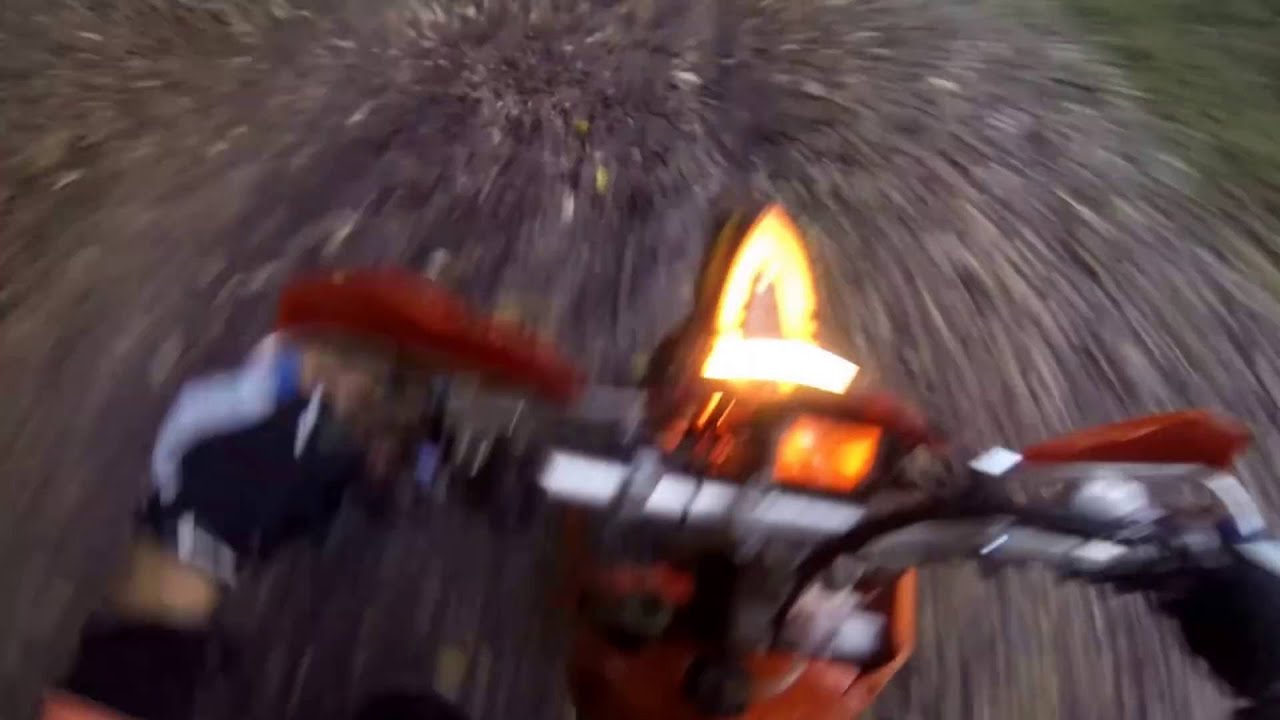 Enduro in HOIA-BACIU forest at night