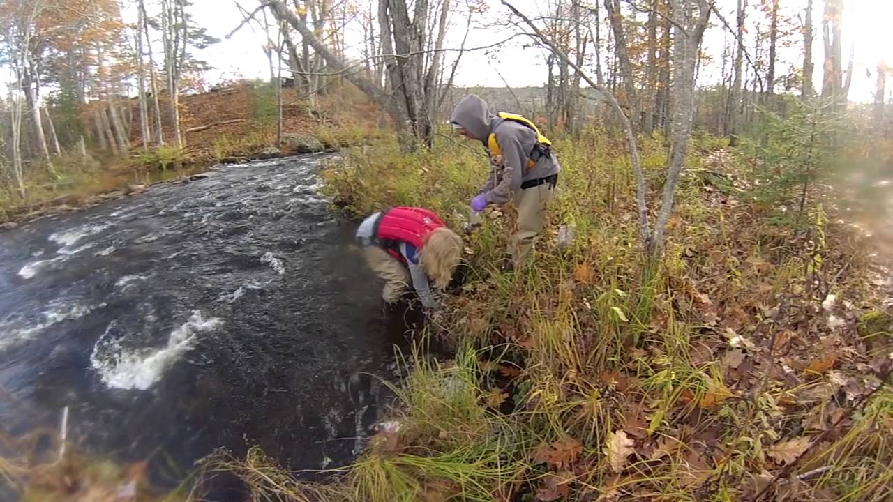 Collecting Sediment Samples for Mercury Analysis