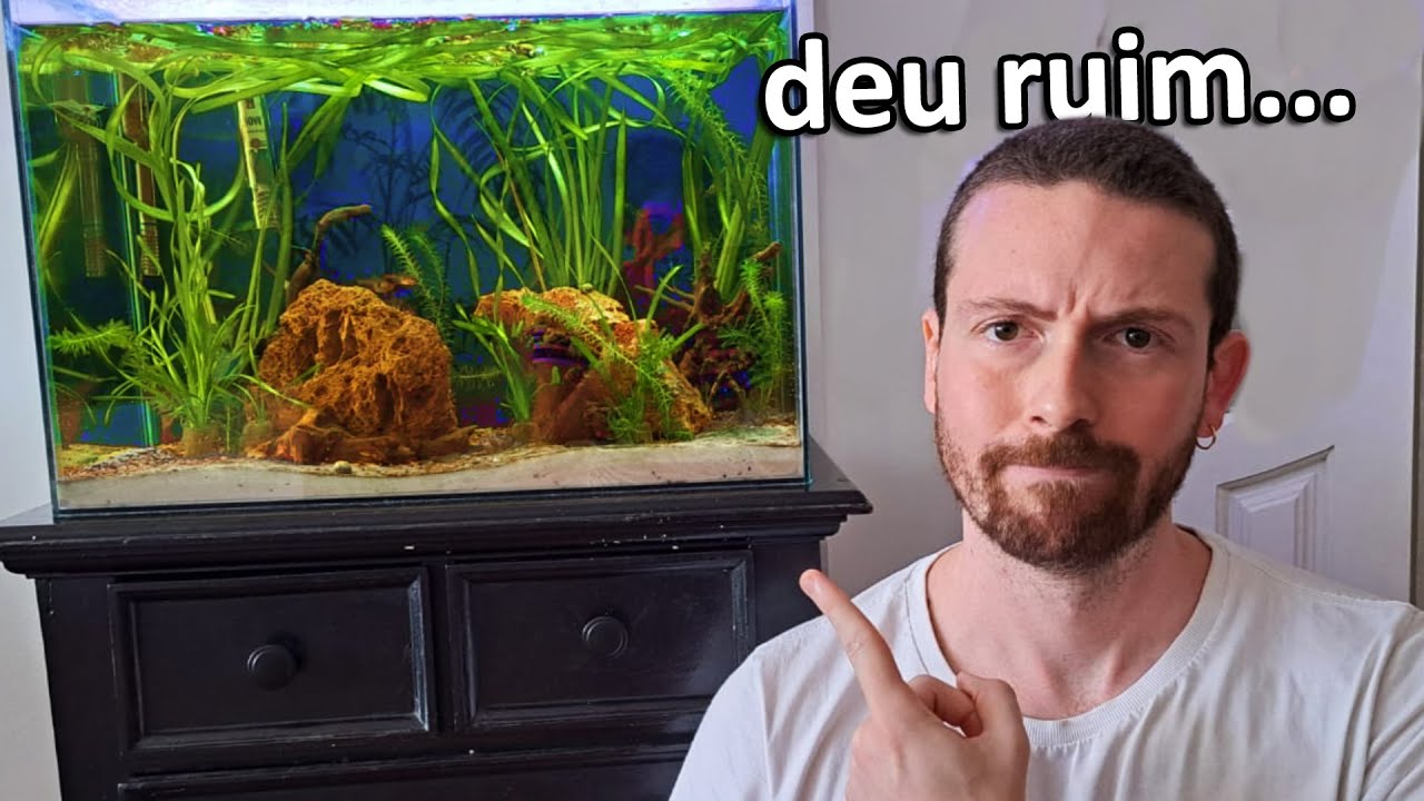 Como um aquário DESTRUIU minha vida...