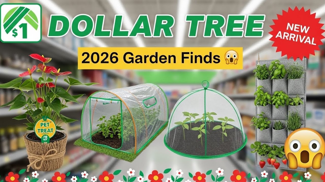 Лучшие садовые находки Dollar Tree на 2026 год! 🪴