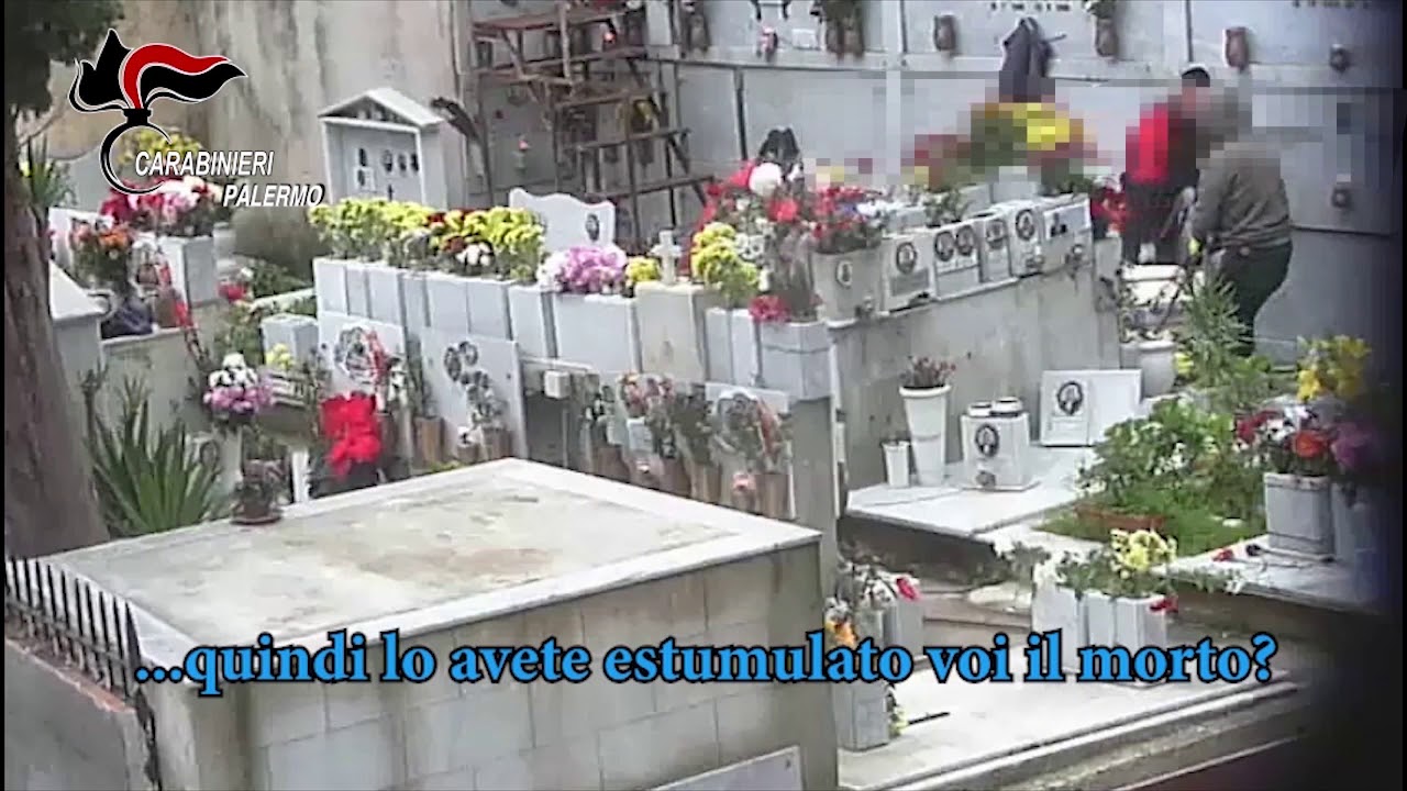 Monreale, cimitero degli orrori a San Martino delle Scale - Tele Occidente