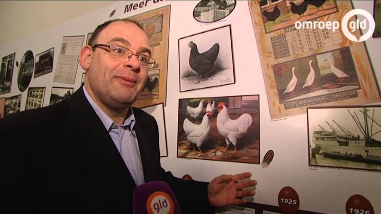 De Barnevelder bestaat 100 jaar
