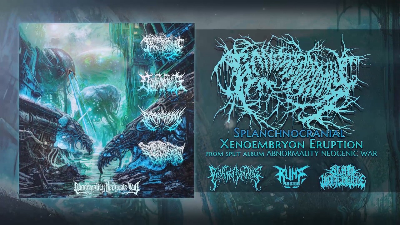 GANGRENECTOMY/DECOMPOSITION OF ENTRAILS/DEPRECATION/EMBRYONIC DEFILEMENT [SPLIT STREAM](2026)SW EXCL