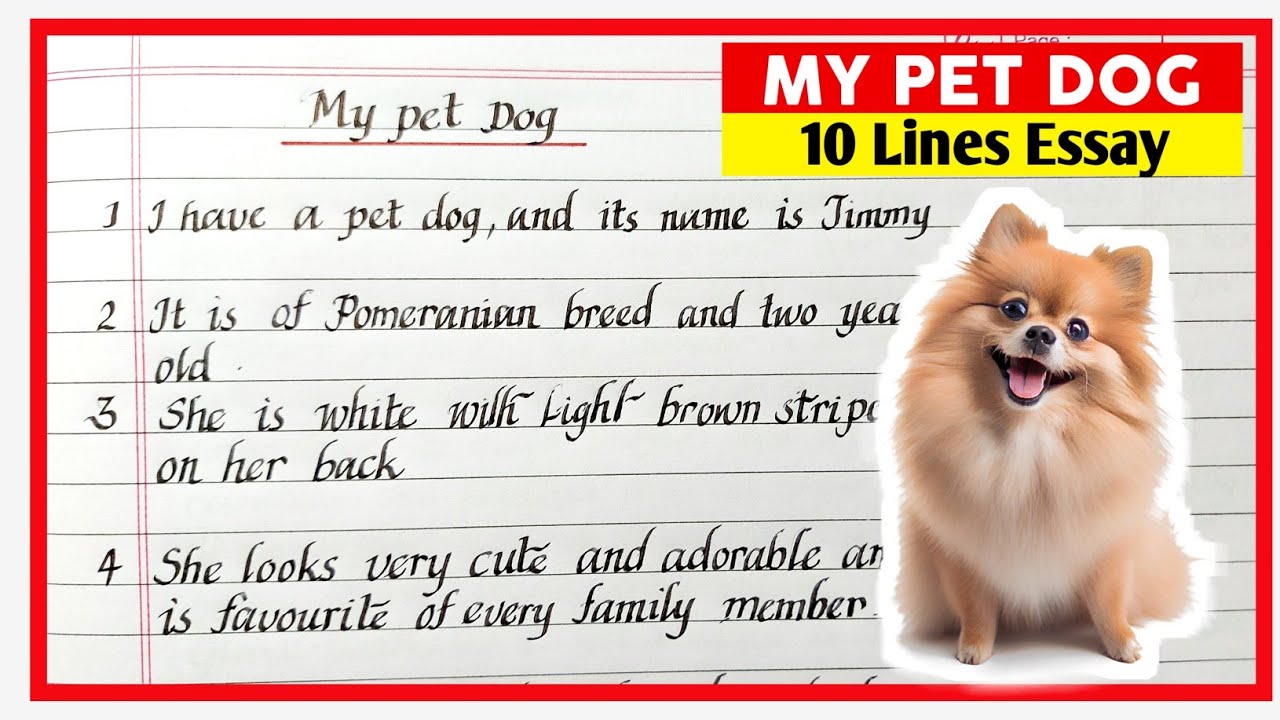 My pet dog 10 lines | 10 Lines on my pet dog in english