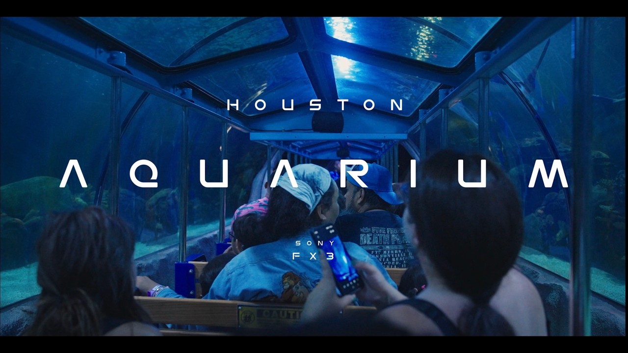 Houston Aquarium - FX3 Spec Ad