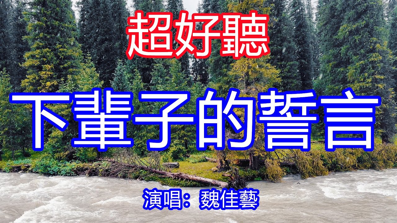 天呀！ 太好聽了，魏佳藝超火傷感情歌《下輩子的誓言》煙嗓版，獨特的嗓音，單曲循環聽不夠！我苦苦愛戀，愛你等你一萬年！唱的撕心裂肺，聽得痛哭流涕！新疆風景！ 傷感情歌！療癒情歌！