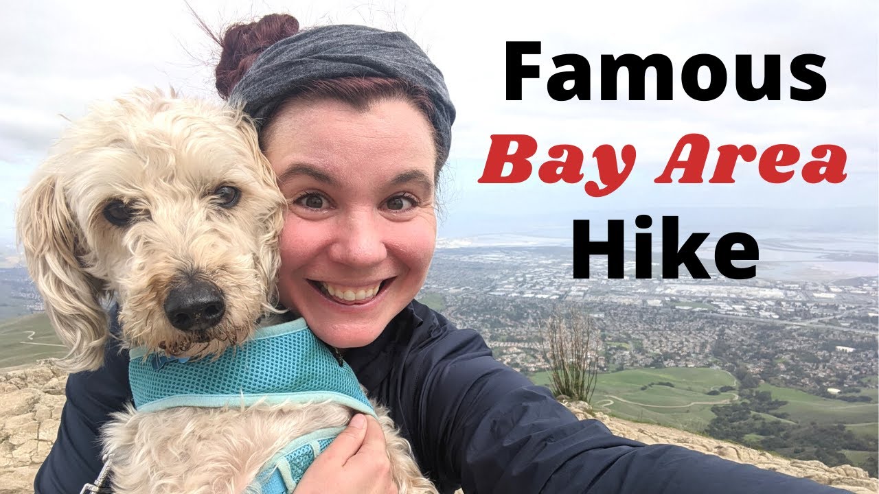 Hiking Mission Peak Trail | Exactly how to do it!