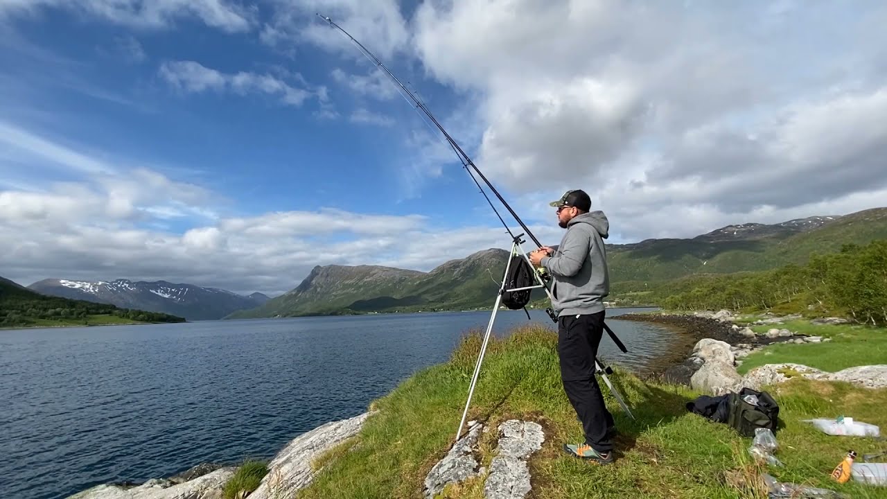 surfcasting Norway / Halibuty i zębacz z brzegu/wędkarstwo w Norwegii